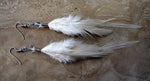 cambioprcaribe A8 Extra Long Feather Earrings