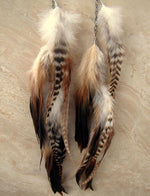 cambioprcaribe Extra Long Feather Earrings